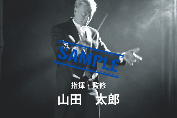 地域文化イベントの事例